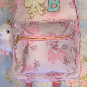 Mini Coquette Backpack (pink w/roses)