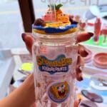 Img 7157 Scaled Aspect Ratio 340 340