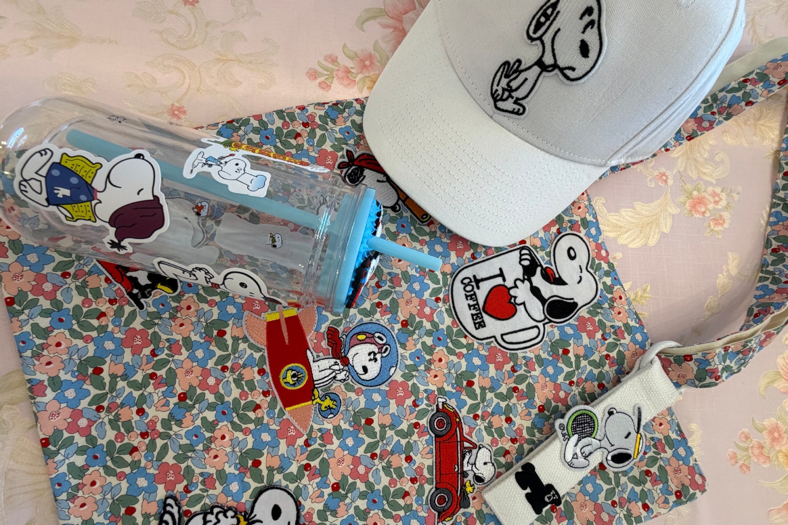 Web Snoopy Set